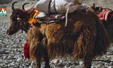 everest regionen