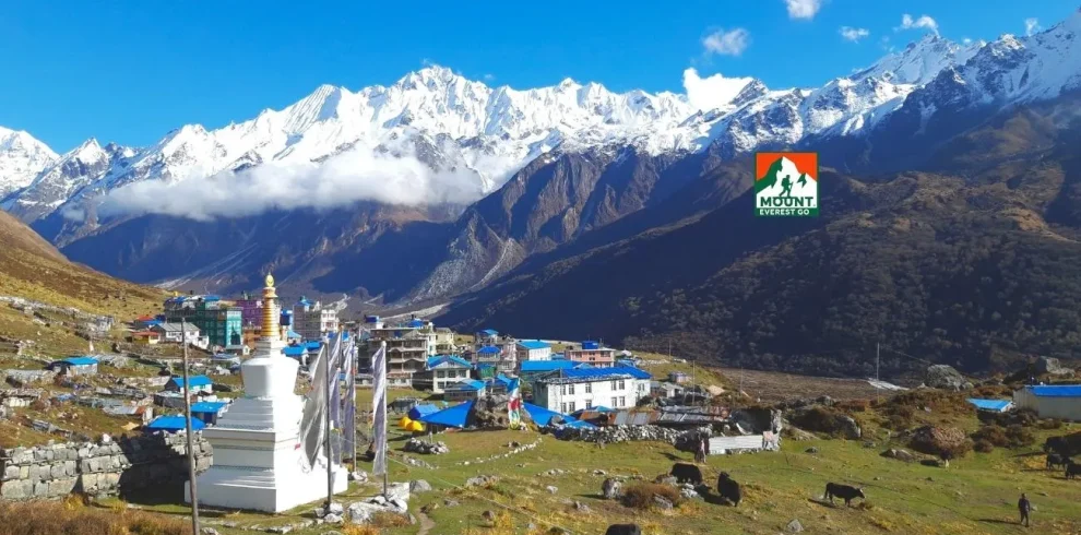Langtang Valley Trek