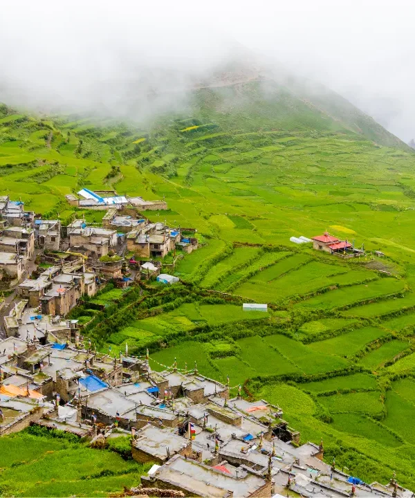 Grön Nar Tibetan Village i Nepal