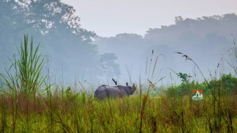 Chitwan Nepal tour