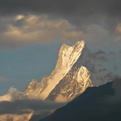 تريك قاعدة أنابورنا في كامب تريك، نيبال ABC Trek