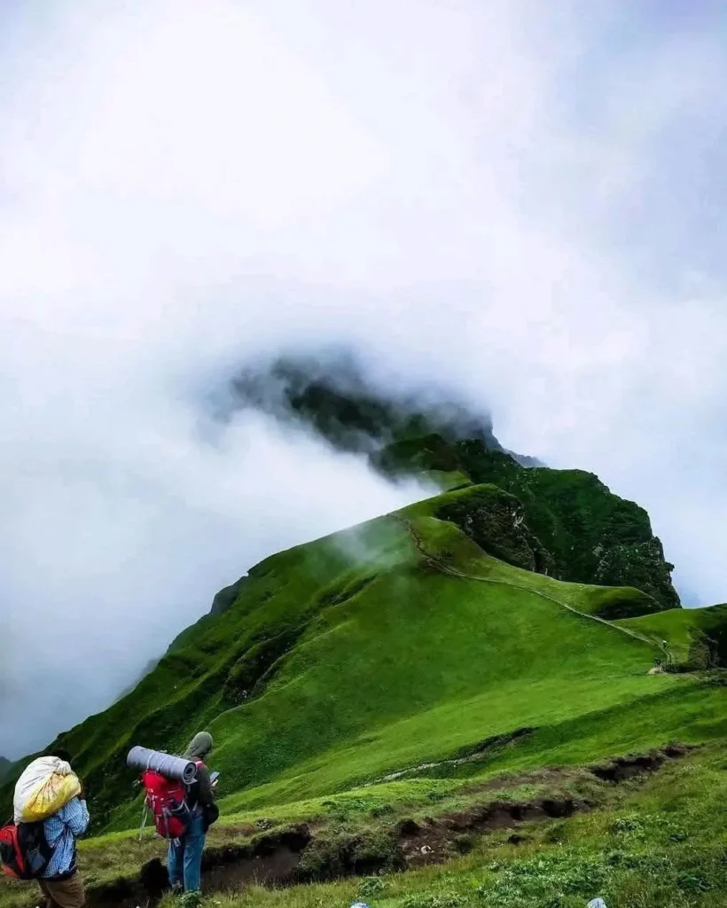 Badhimalika green land