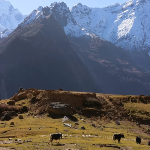 Trekking de Darchá Nepal