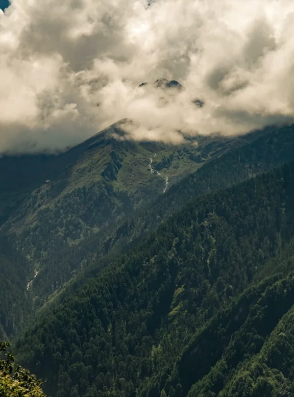 Gosainkunda helambu trek, Green mountains