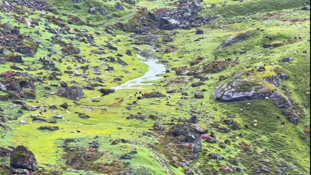 Госайнкунда Хеламбу Трек, Зеленый