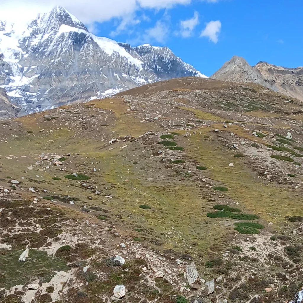 Ice lake manang nepal