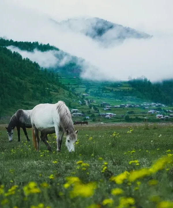 Caminhada de fotografia da vida selvagem do Nepal