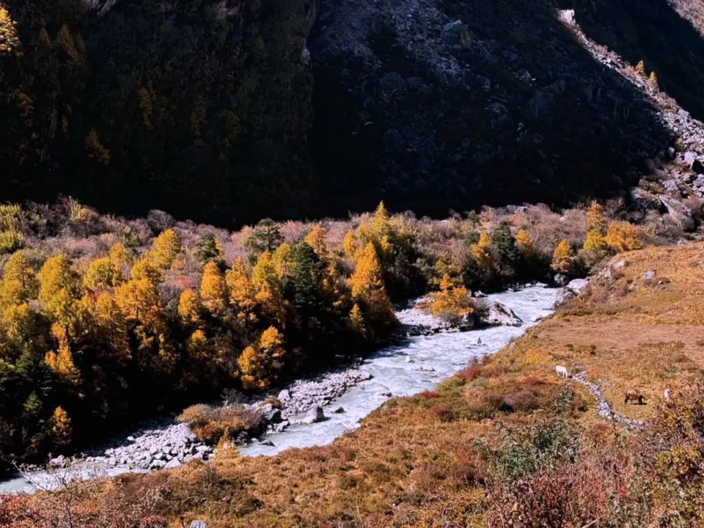 Langtang Valley Photography Trek, Kyanjin Gompa , Kyanjin ri , langtang lirung