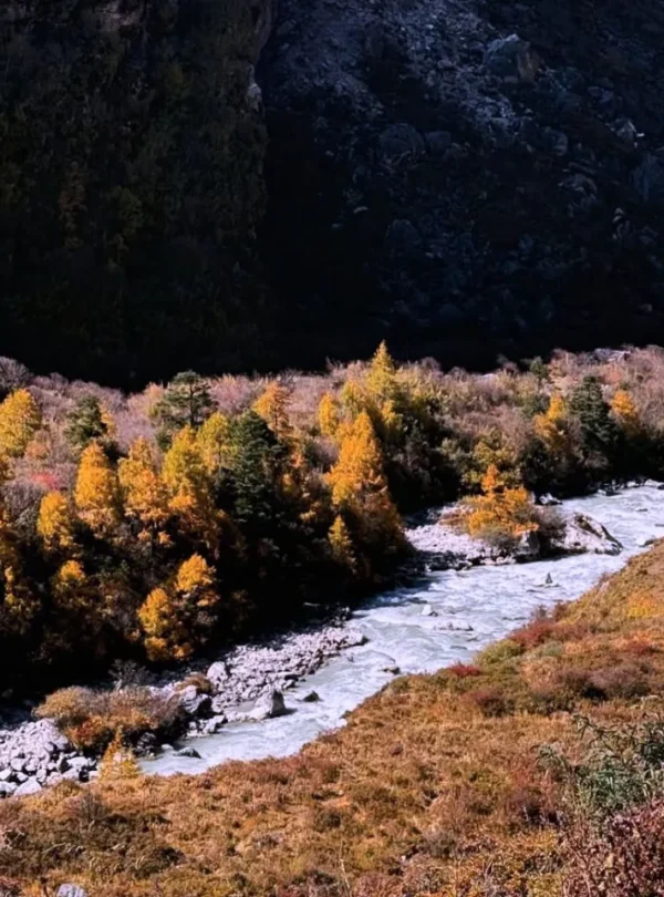 Langtang Valley Photography Trek, Kyanjin Gompa , Kyanjin ri , langtang lirung